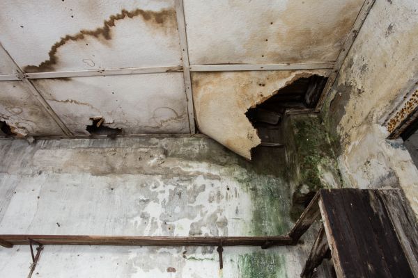 Cost of Water Damage Service in Memphis