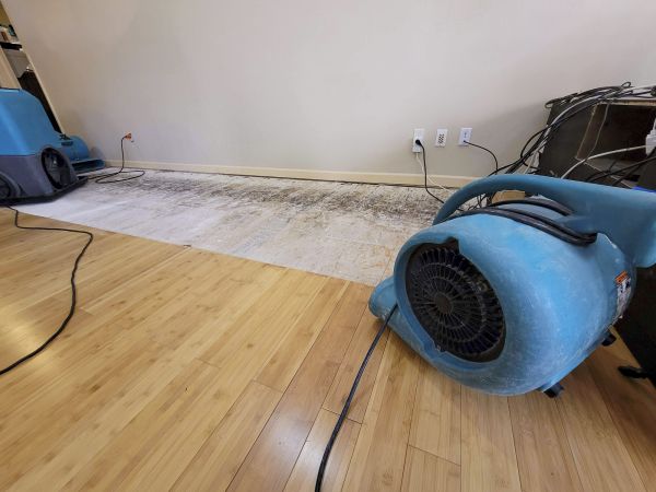 Cost of Water Damage Mitigation in Memphis