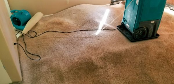 Cost of Flood Damage Cleanup in Memphis