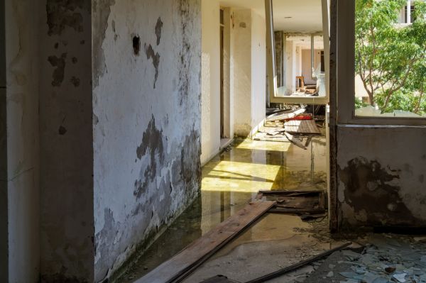 Cost of Water Removal Service in Memphis