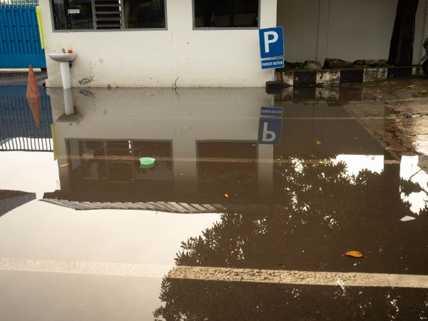 Cost of Storm Damage Repair in Memphis
