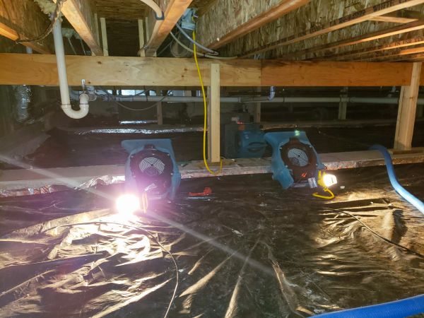 Cost of Crawlspace Water Removal in Memphis