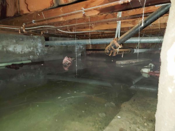 Cost of Crawlspace Water Restoration in Memphis